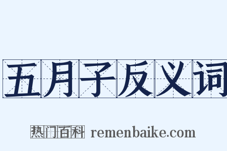 五月子反义词是什么意思的图片